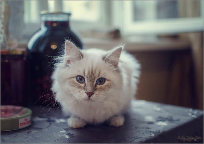 Пристальный взгляд малыша
