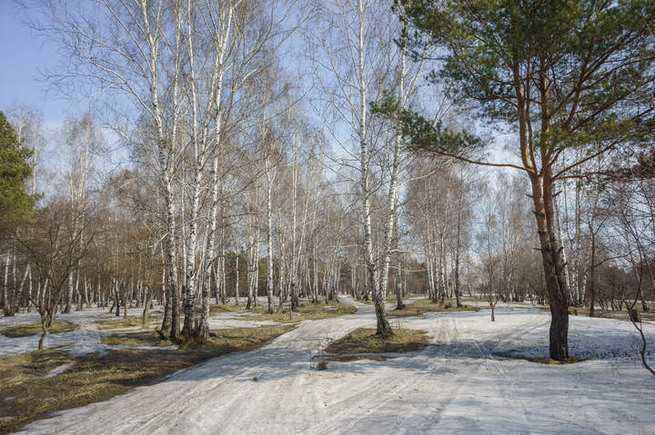 Весенний день