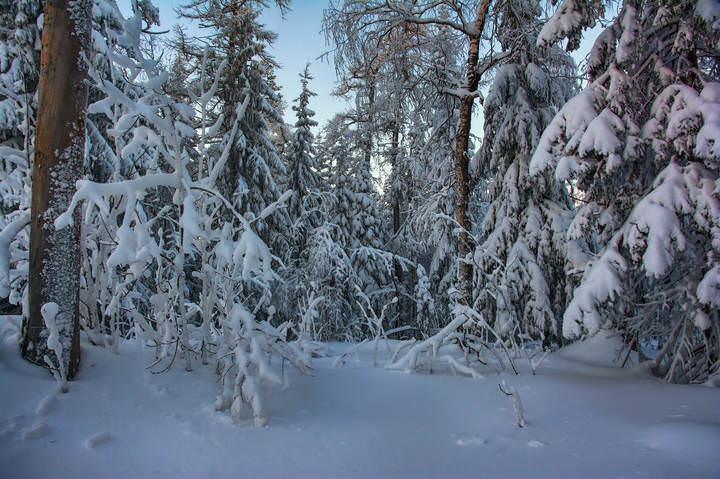 Снежное царство