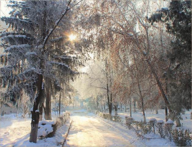 Морозное утро.