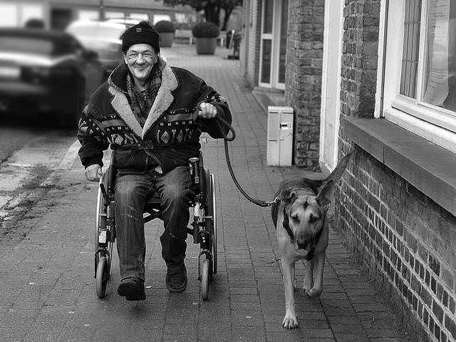 Bert and the dog Lowie.