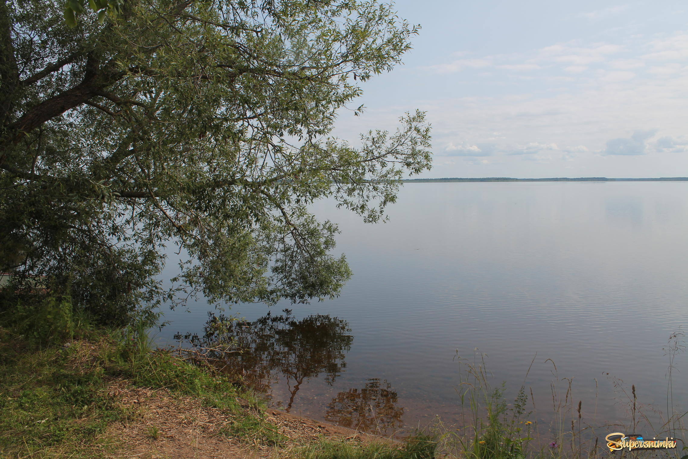 Озеро Жижицкое (Псковская область)