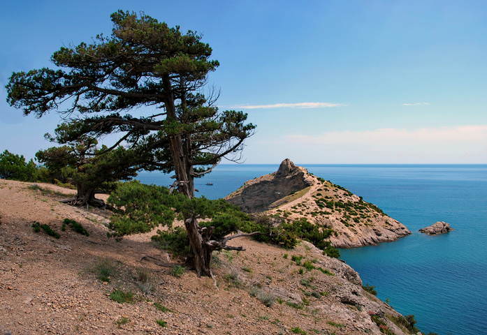 Летний Капчик
