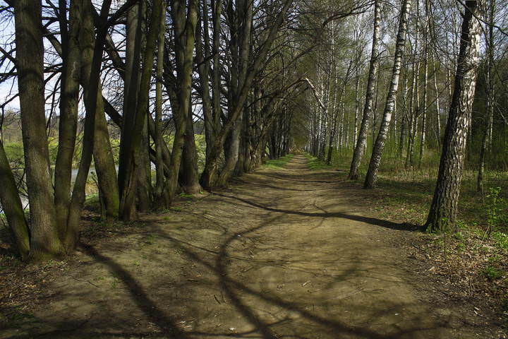 Звенигород