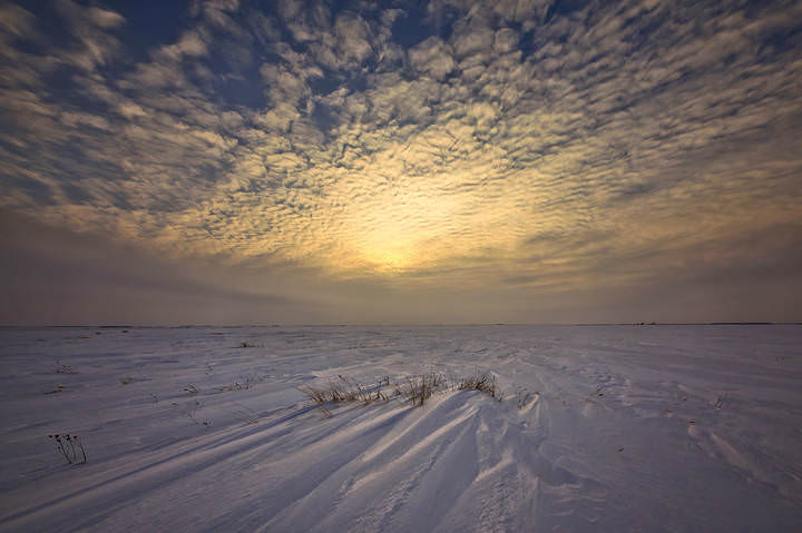  Поля без края