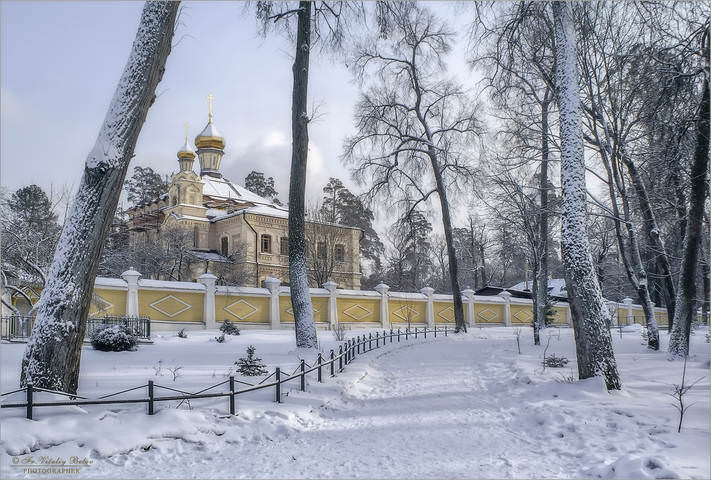 Запорошенный снегом