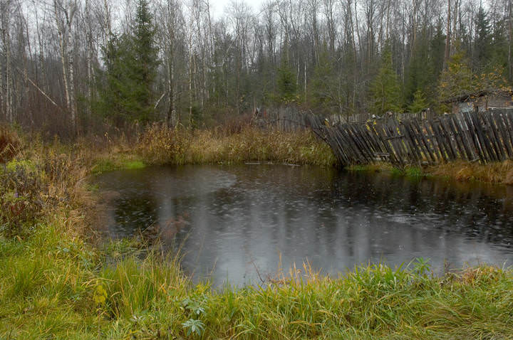 Ноябрь. Прудик под дождем (2008)