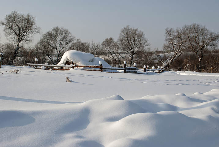Снежность