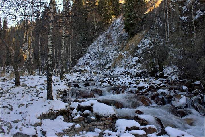 Незамерзайка.
