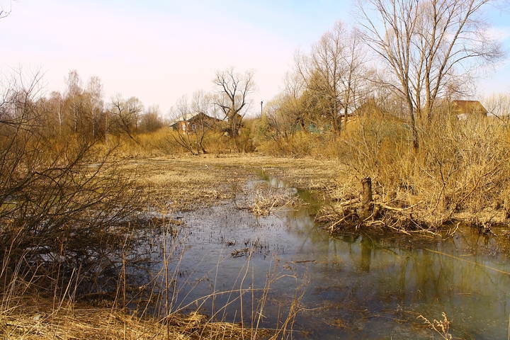 Весна в Суково