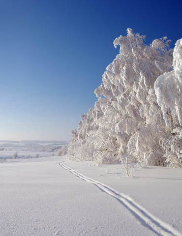 Белоснежность