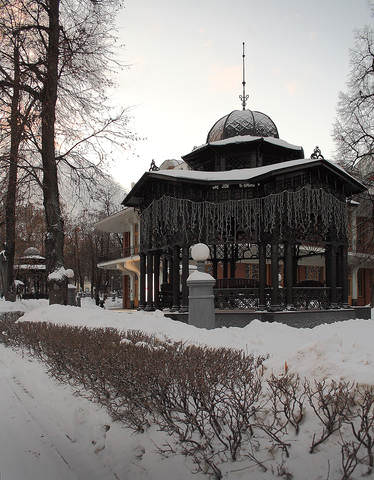 зимний сад Эрмитаж
