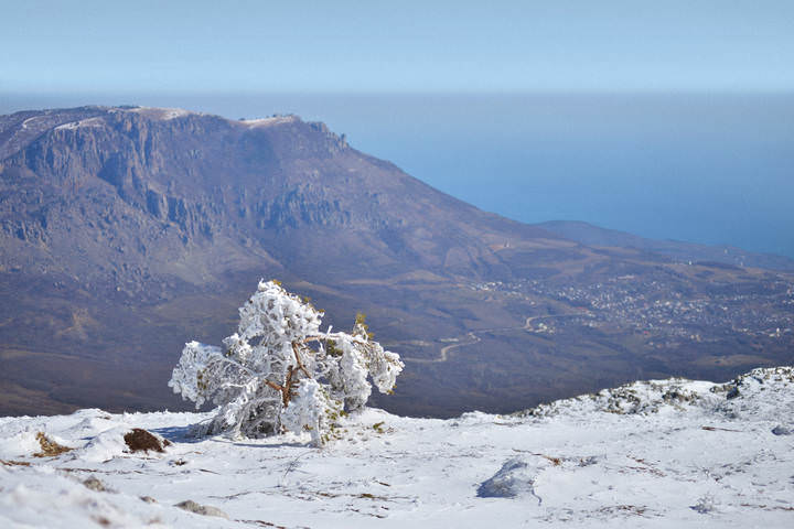 барыня