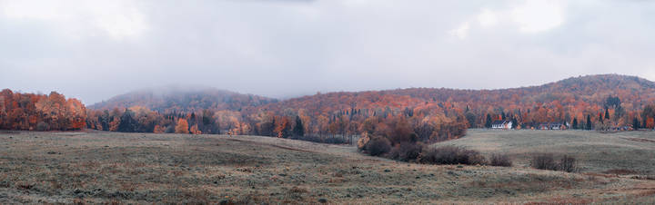 Transparent Autumn