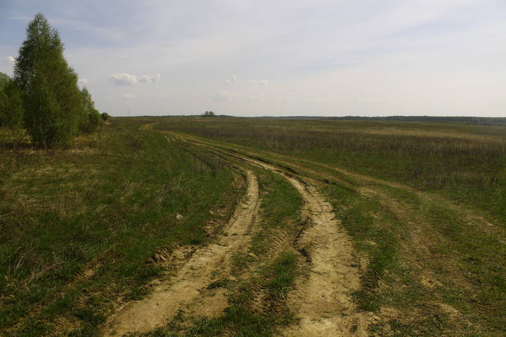 Дорога в дер.Васькино (Можайский район)