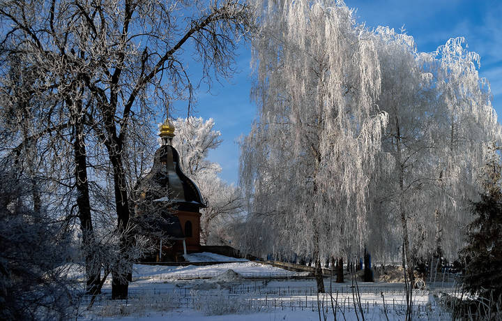 кружевное утро