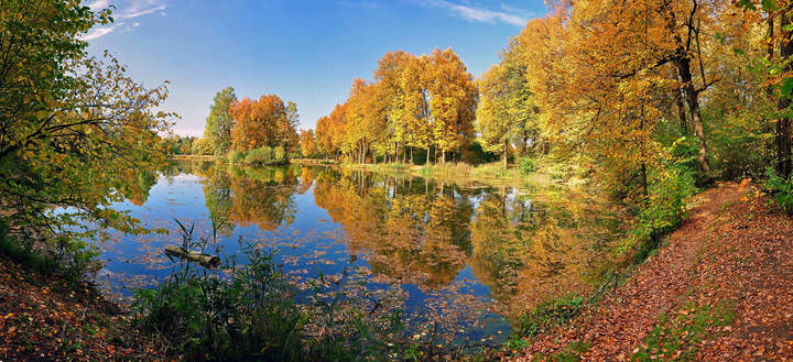 Золотая осень