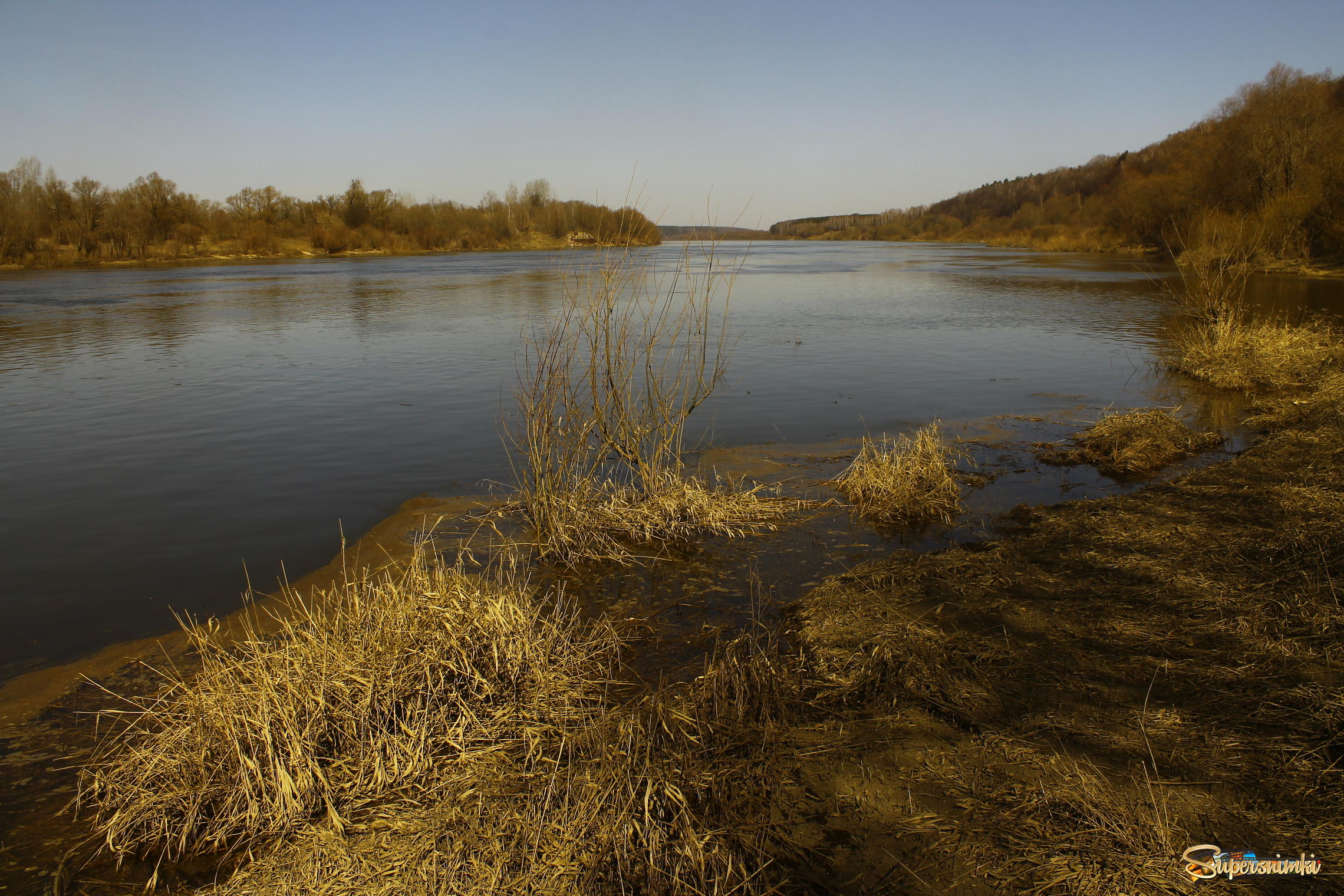 река Ока в Поленове