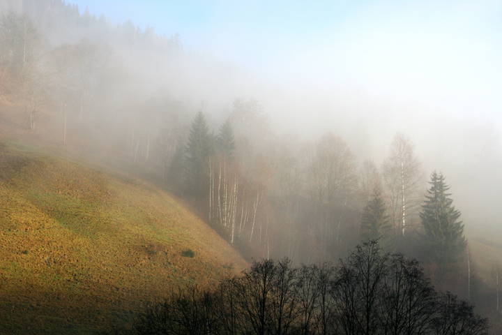 Туман в горах