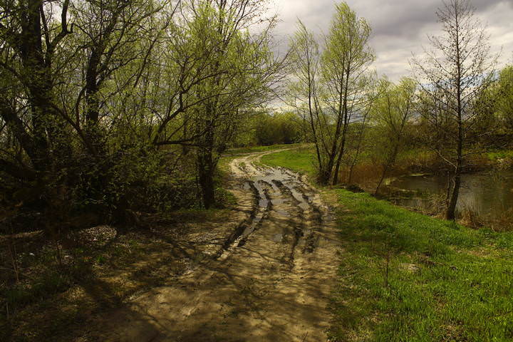 Лыткарино (Петровское)