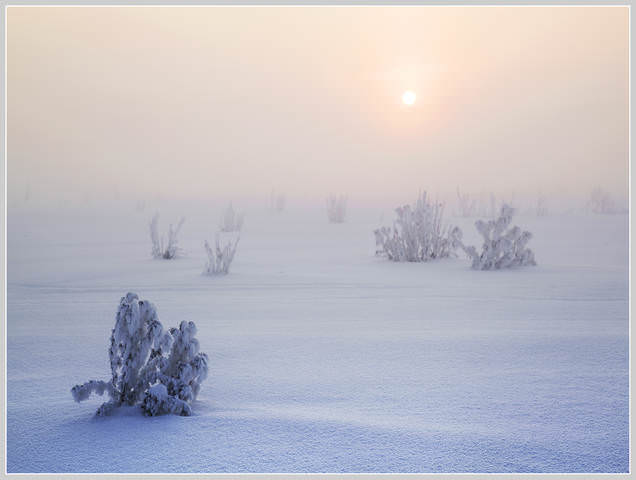 Снежное безмолвие. 