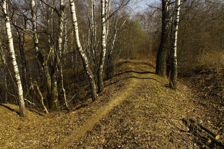 Весна в Подмосковье