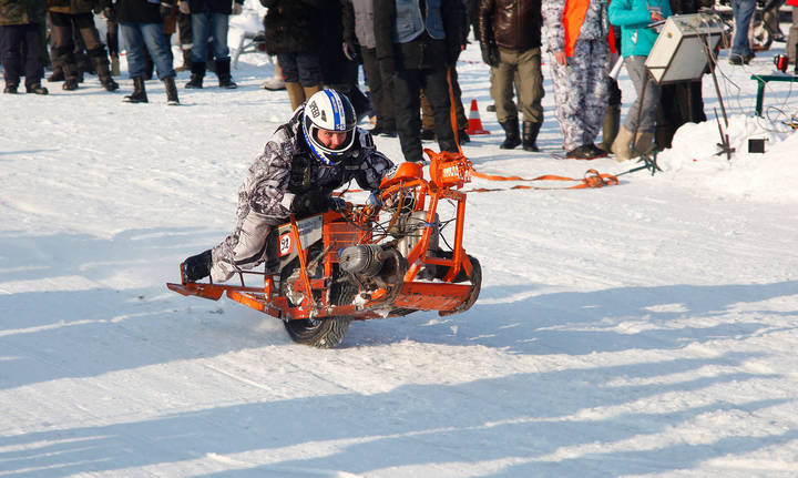 Snow Dogs2017