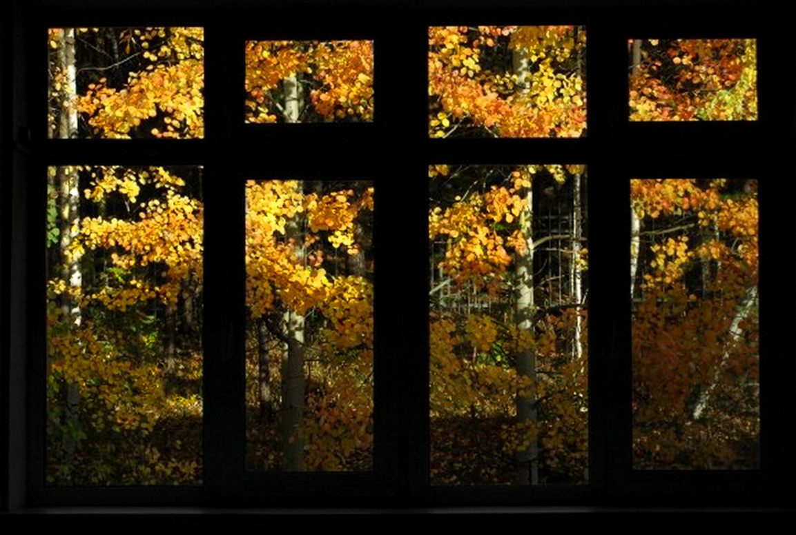 ФС. А из нашего окна...золотая осень видна)))