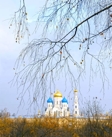 Угрешский монастырь.