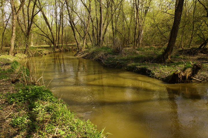 река Сетунь в Кунцеве