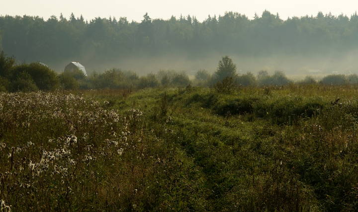 Утро на окраине Новой Слободы (2008)