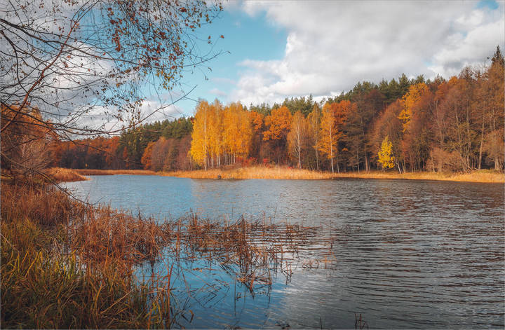 Дела рыбацкие