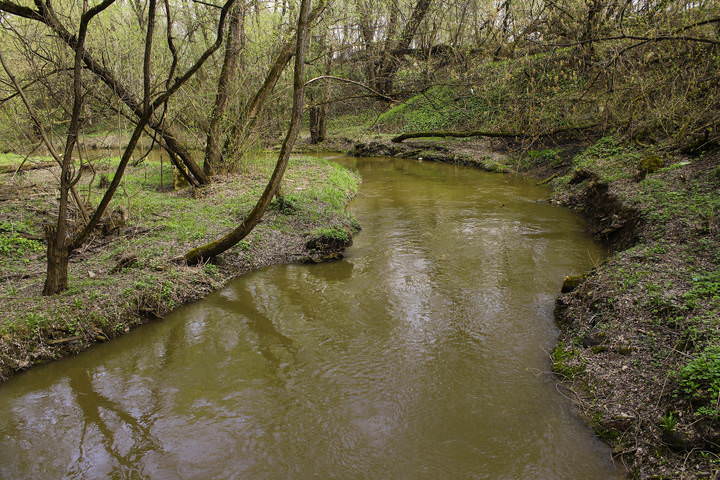 река Сетунь в Кунцеве
