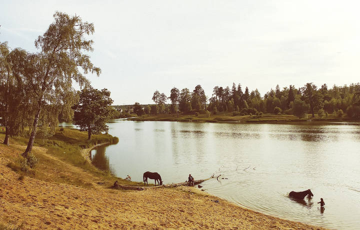 Старое кино (2007)
