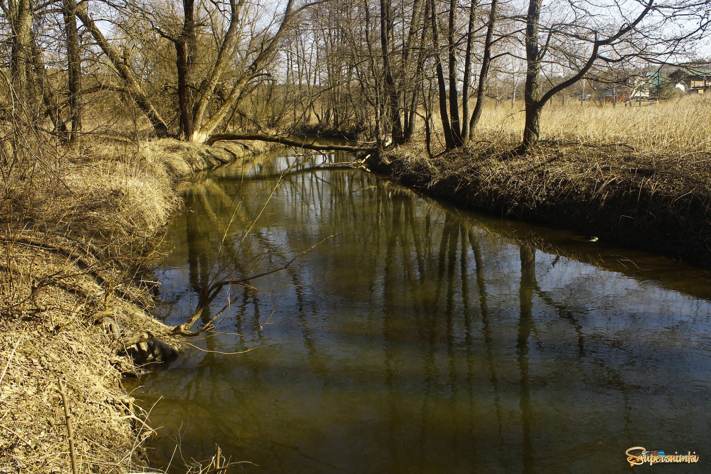 река Скнижка в селе Страхово (Тульская область)