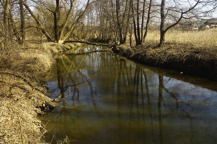 река Скнижка в селе Страхово (Тульская область)