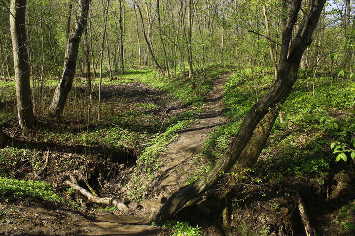 Весна в Филёвском Парке