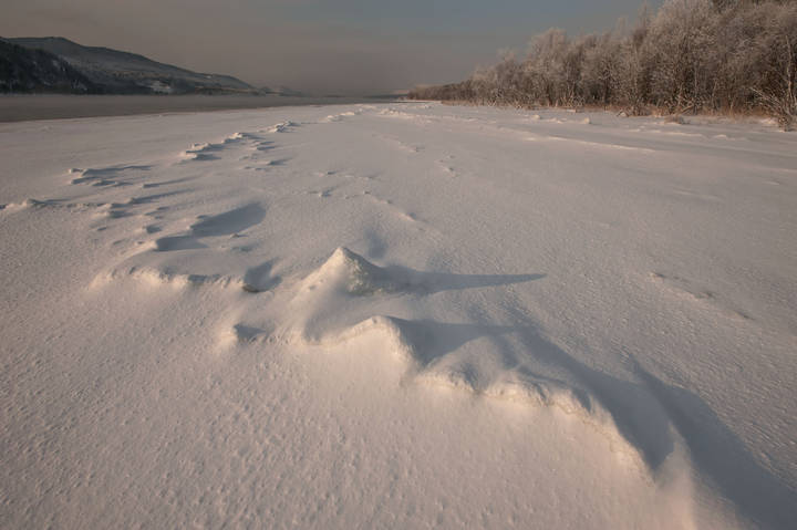 На берегу Енисея