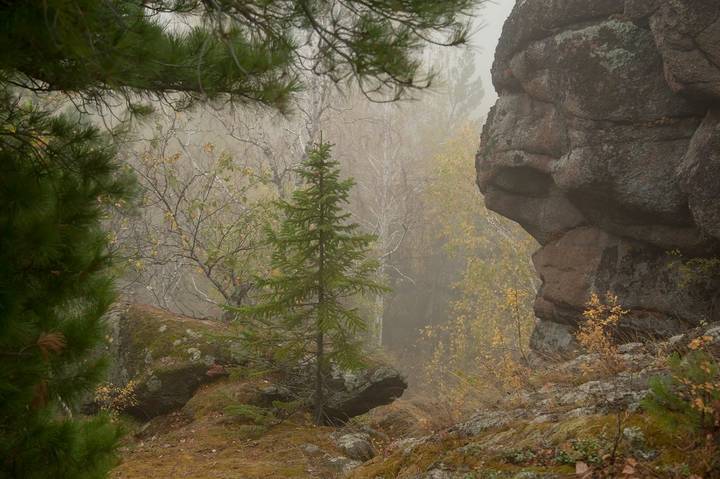 Под каменной охраной