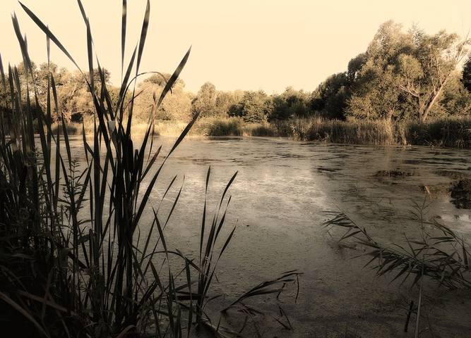 На рыбалке