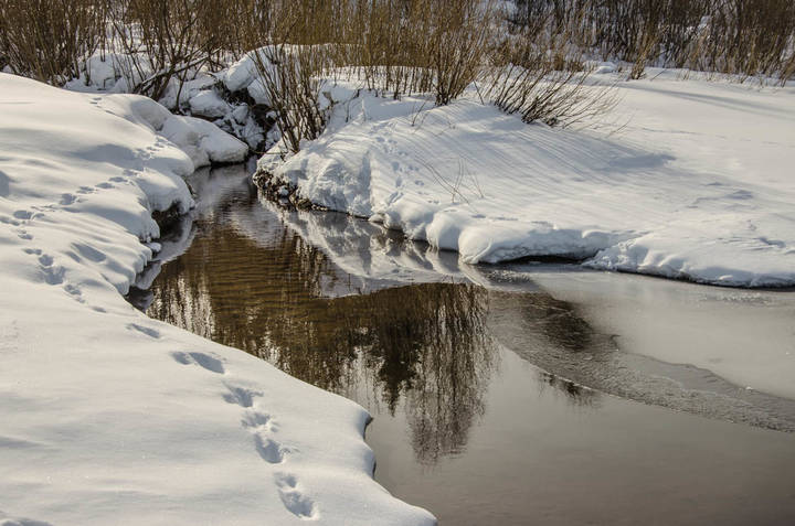 Март