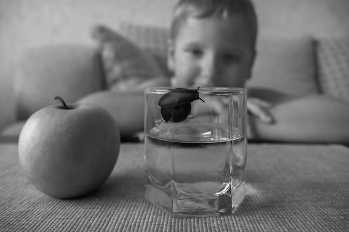 ФС. Пока не выпьешь воду, яблоко не дам