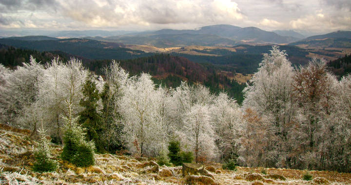 В Карпатах