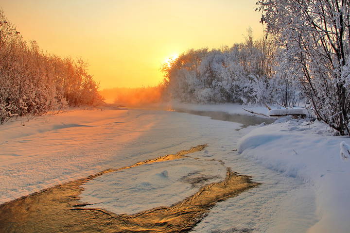 розовое утро января