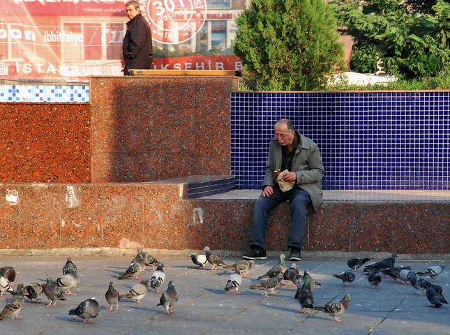 Поделиться бубликом