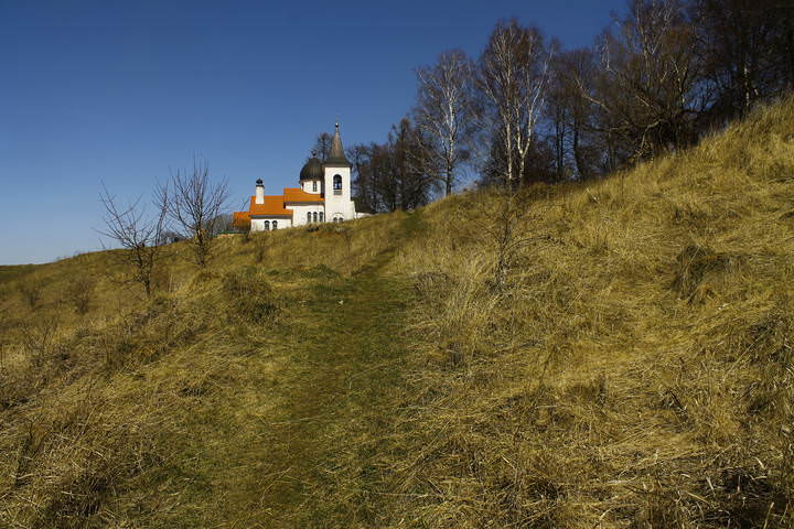 Храм Троицы Живоначальной в селе Бёхово (Тульская область)