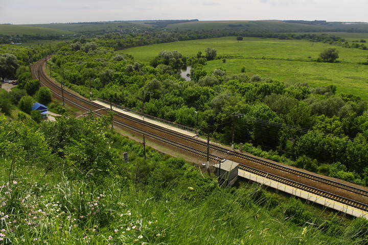 Дивногорье (Воронежская область)