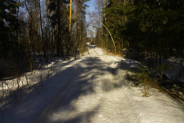 Весна в Подмосковье