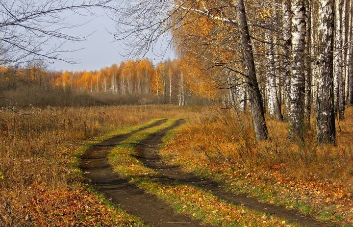 А лето уходит в далёкий неведомый край...