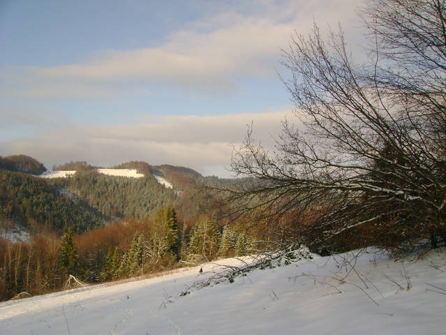 Зима в Карпатах